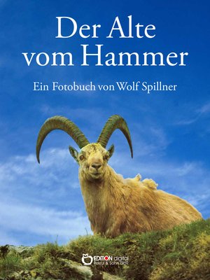 cover image of Der Alte vom Hammer